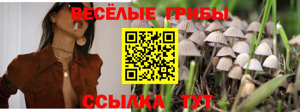 Галлюциногенные грибы Cubensis Сухой Лог